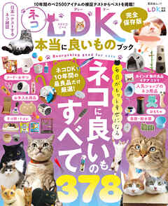 晋遊舎ムック ネコDK 本当に良いものブック