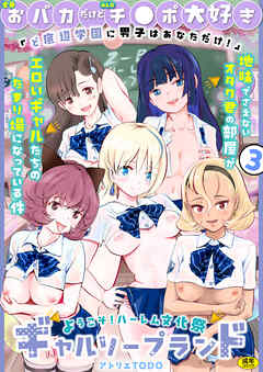 「全員おバカだけどみんなチ●ポ大好き」ど底辺学園に男子はあなただけ！ハーレム文化祭ギャルソープランド(3)【18禁】
