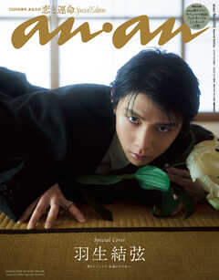 anan No.2502 Special Edition