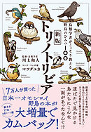 新版トリノトリビア　鳥類学者がこっそり教える野鳥のひみつ100