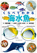 くらべてわかる海水魚