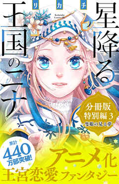 星降る王国のニナ　分冊版　特別編３　隻眼の見る夢