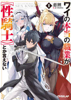【期間限定　無料お試し版】ワイの本当の職業が【性騎士】とか言えない 1