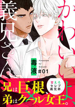 【期間限定　無料お試し版】かわいいよ、義兄さん(1)