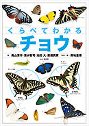 くらべてわかるチョウ