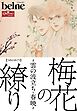 梅花の繚り～雲の波立ち・春暁～