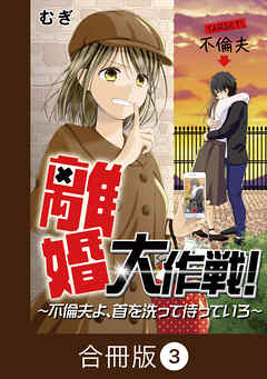 離婚大作戦！～不倫夫よ、首を洗って待っていろ～【合冊版】（3）