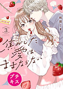 【期間限定　無料お試し版】焦がした愛はままならない　プチキス（３）