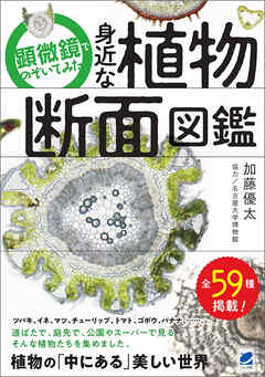 顕微鏡でのぞいてみた 身近な植物断面図鑑