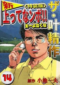 ザ・叶精作　新・上ってなンボ！！太一よ泣くな14<特装版>