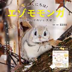 こんにちは！エゾモモンガ