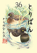 とりぱん（３６）