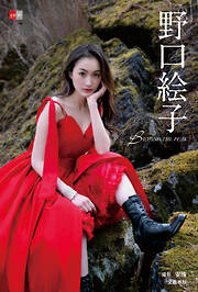 デジタル原色美女図鑑　野口絵子　BEYOND THE PEAK