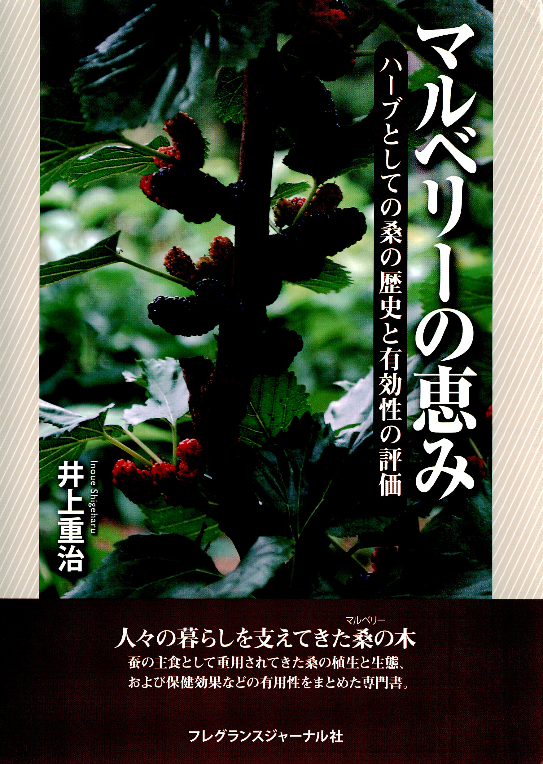 マルベリーの恵み ハーブとしての桑の歴史と有効性の評価 井上重治 漫画 無料試し読みなら 電子書籍ストア ブックライブ