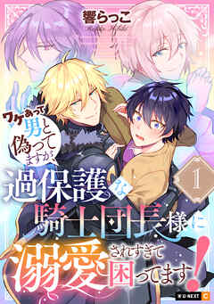 【期間限定　無料お試し版】ワケあって男と偽ってますが、過保護な騎士団長様に溺愛されすぎて困ってます！