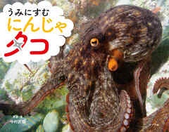 うみにすむ　にんじゃ　タコ
