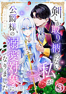剣しか取り柄のない私が公爵様の溺愛対象になりました 第3話