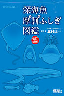 深海魚摩訶ふしぎ図鑑　改訂新版