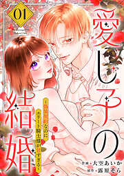 【期間限定　試し読み増量版】愛し子の結婚～偽装契約なのにエリート騎士様が甘すぎる～【電子単行本版／特典おまけ付き】