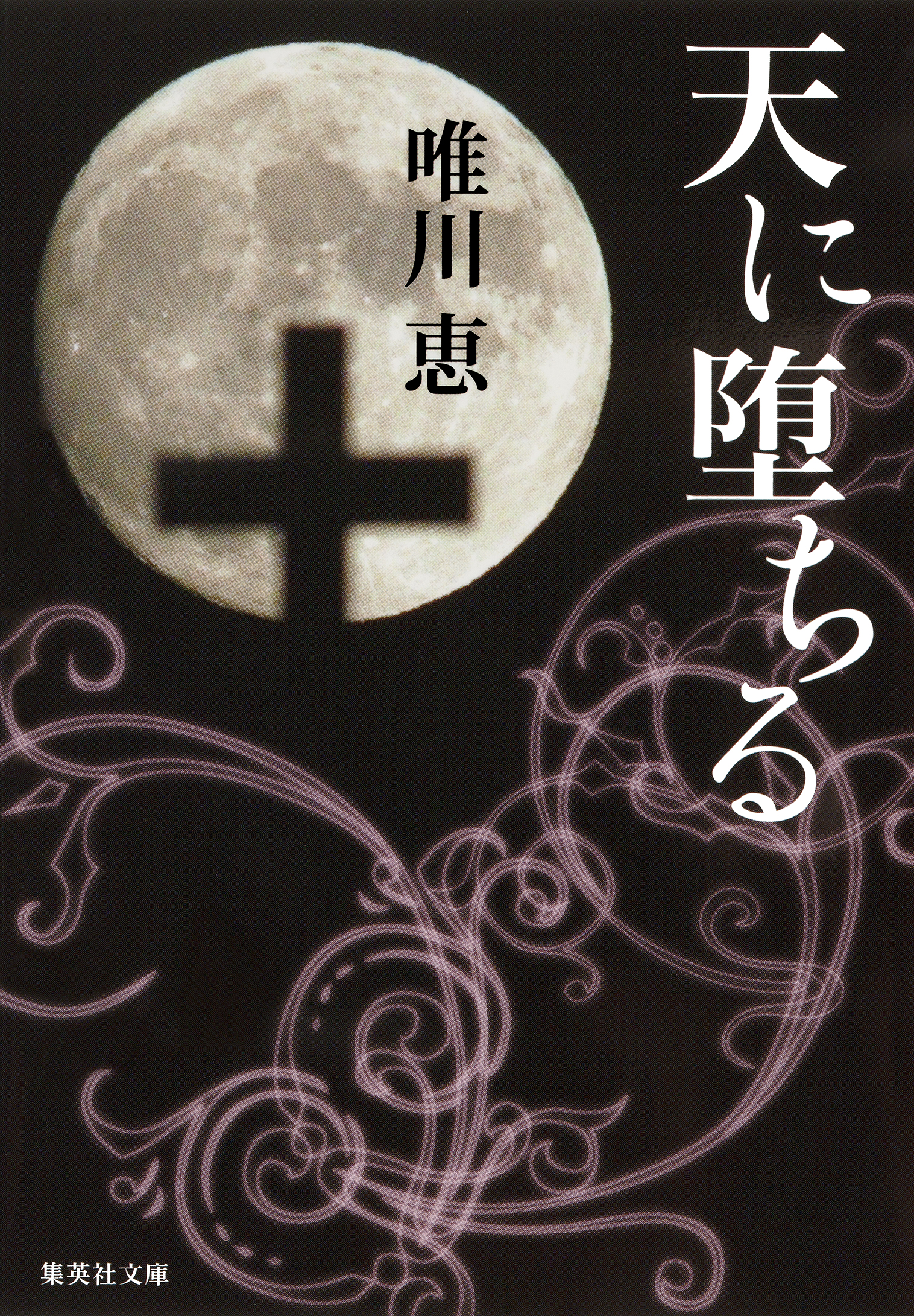 天に堕ちる 唯川恵 漫画 無料試し読みなら 電子書籍ストア ブックライブ