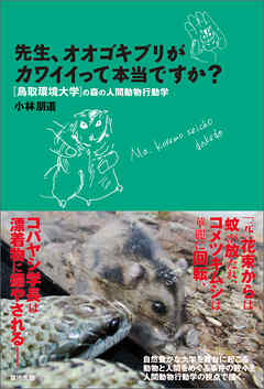先生、オオゴキブリがカワイイって本当ですか？