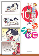 プ～ねこ（１０）