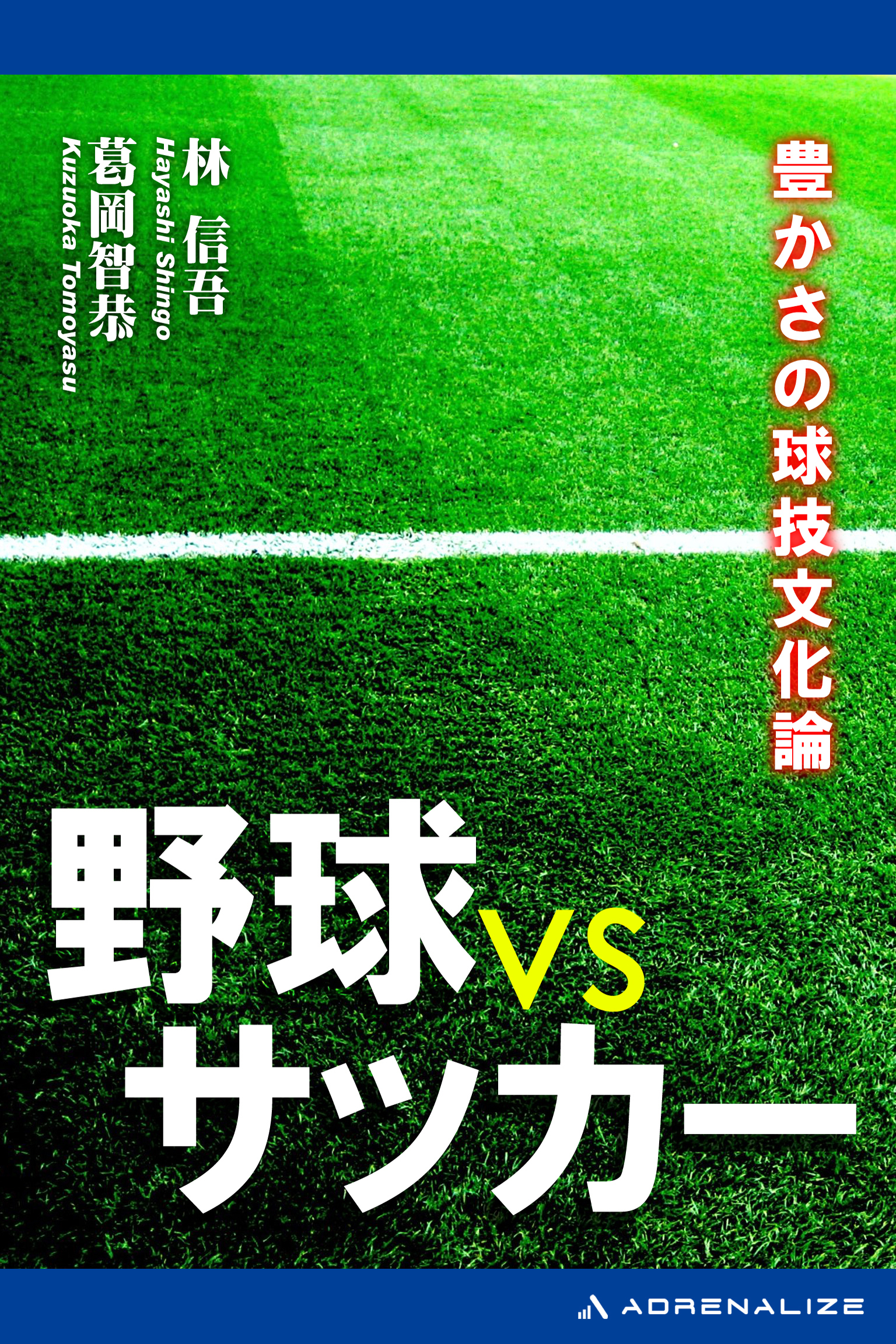 よくわかるスポーツ文化論 - 趣味