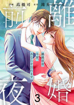 comic Berry’s離婚前夜～今宵、あなたを忘れます～3巻
