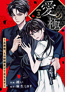 comic Berry’s愛の極～旦那様、その結婚受けて立ちます～3巻