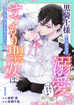 【期間限定　無料お試し版】Berry’sFantasy黒騎士様から全力で溺愛されていますが、すごもり聖女は今日も引きこもりたい！1巻