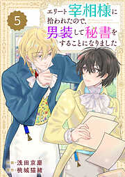 【期間限定　無料お試し版】Berry’sFantasyエリート宰相様に拾われたので、男装して秘書をすることになりました