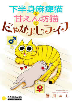 下半身麻痺猫と甘えん坊猫のにゃかよしライフ