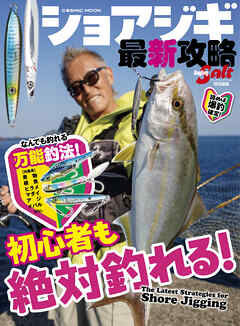 ショアジギ最新攻略