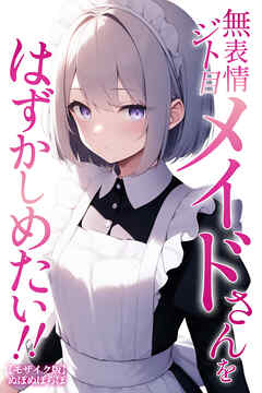 無表情ジト目メイドさんをはずかしめたい！！【モザイク版】