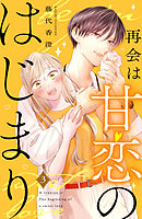 【期間限定　無料お試し版】再会は甘恋のはじまり　分冊版（３）