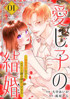 【期間限定　試し読み増量版】愛し子の結婚～偽装契約なのにエリート騎士様が甘すぎる～【電子単行本版／特典おまけ付き】