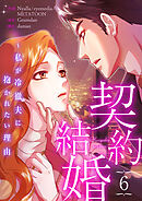 契約結婚～私が冷徹夫に抱かれたい理由６