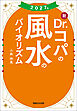 2027年 新Dr.コパの風水のバイオリズム