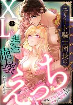 エリート騎士団長のXLな理性崩壊えっち 毎夜とろあま絶頂でオクまで開発されて（分冊版）　【第2話】