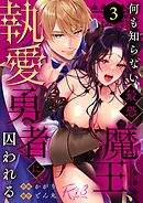 何も知らない最恐魔王、執愛勇者に囚われる【R-18版】  （3）