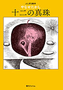 十二の真珠 -ふしぎな絵本-
