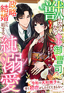 獣にならない年上御曹司と政略結婚から始まる純溺愛～令和の大和撫子は、早く初夜がしたくてたまらない～