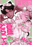 Fig vol.80