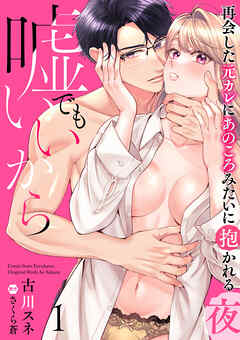 嘘でもいいから～再会した元カレにあのころみたいに抱かれる夜～【分冊版】 1話