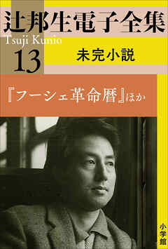 辻邦生電子全集 13巻 未完小説『フーシェ革命暦』ほか