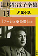 辻邦生電子全集 13巻 未完小説『フーシェ革命暦』ほか