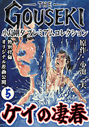 THE　GOUSEKI　小島剛夕　プレミアムコレクション　ケイの凄春5＜特別付録　オリジナル原画公開＞