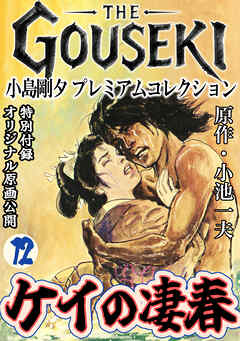 THE　GOUSEKI　小島剛夕　プレミアムコレクション　ケイの凄春12＜特別付録　オリジナル原画公開＞