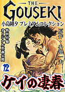 THE　GOUSEKI　小島剛夕　プレミアムコレクション　ケイの凄春12＜特別付録　オリジナル原画公開＞