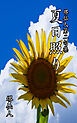 堺仙人第二句集　夏日照り